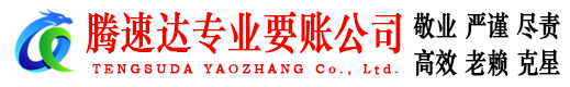 乐安追债公司